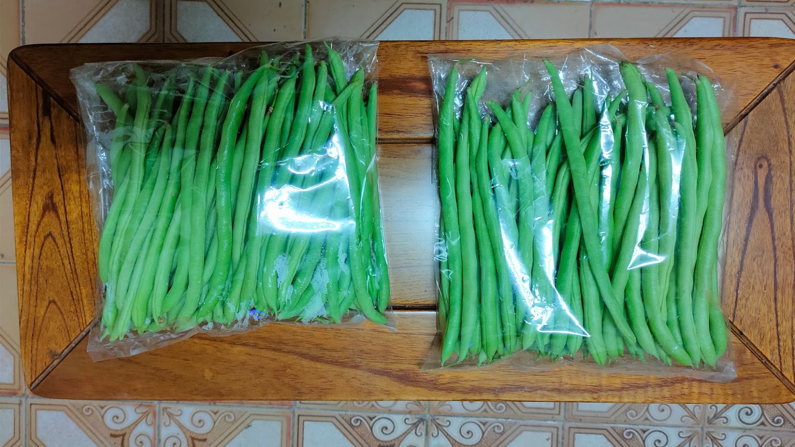 網室相片照片