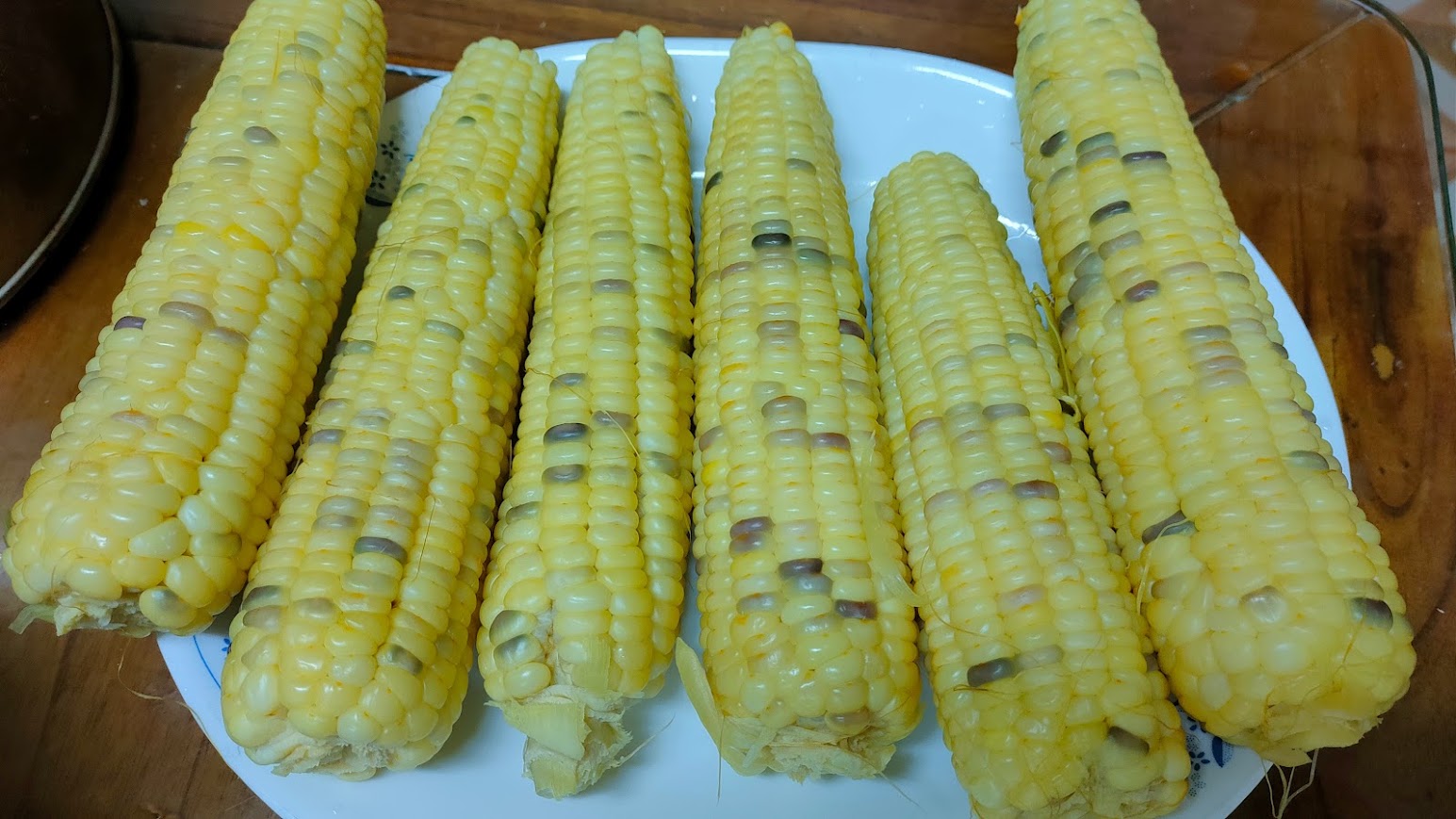 網室相片照片