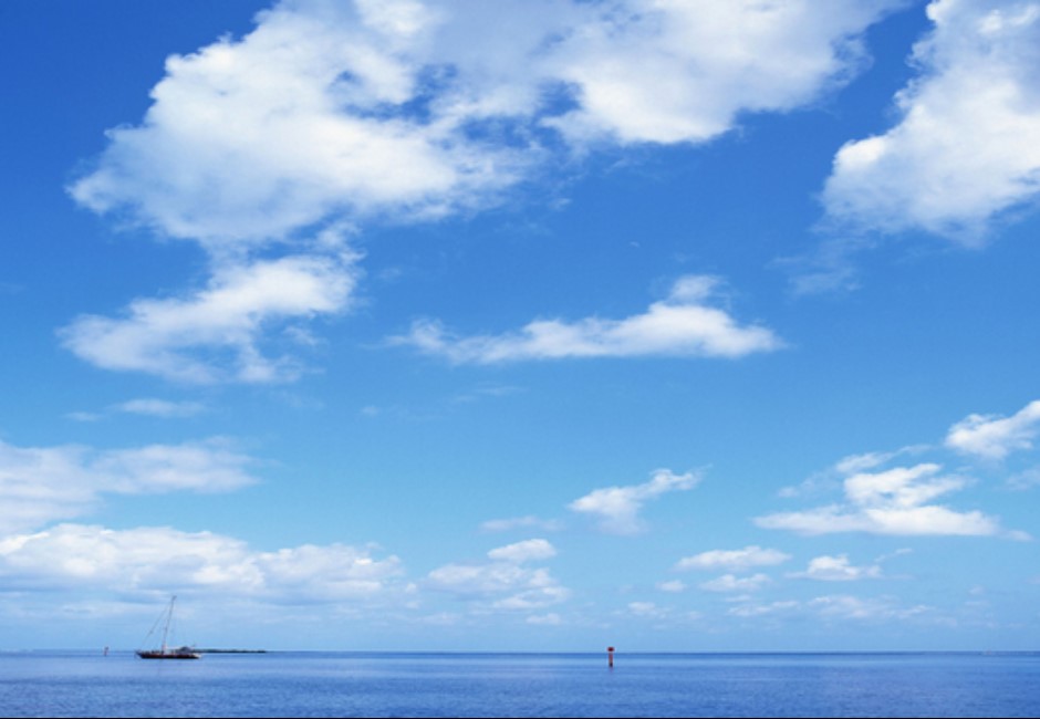 b63053c6-428b-4cf7-a82c-8a1dcd2371db_m.jpeg
